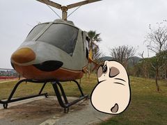 -美的鹭湖森林度假区