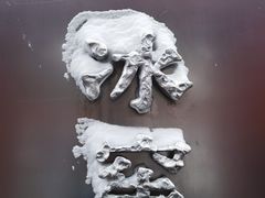 -故宫冰窖餐厅