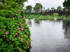 -无锡蠡湖国家湿地公园-蠡园