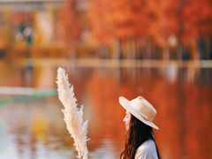 -白鹭湾湿地公园