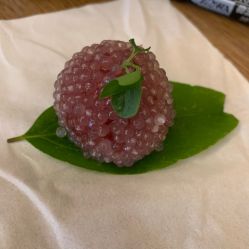 -金芙美月子中心(财富别墅店)