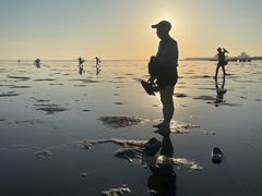 -北海金海湾红树林生态旅游区