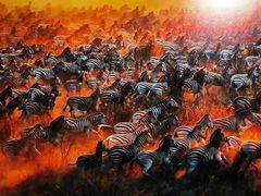 -罗红摄影艺术馆