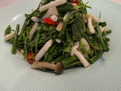-金熊猫川菜餐厅