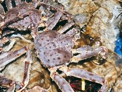 -盒马鲜生(顺义店)