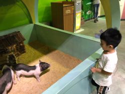 -酷嗒动物文化乐园(cutezoo西溪乐天城店)