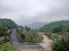 -铜川市金锁关石林