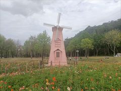 -顺峰山公园