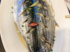 刨盐马鲛鱼-海中洲渔社