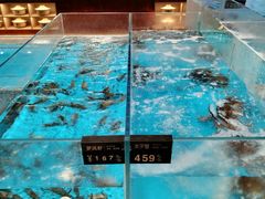 -艳阳天·非遗楚菜(武汉客厅店)