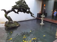 -觀芷隐轩