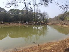-瑶湖湿地自然保护区