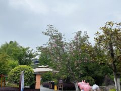-星伦多自助料理·涮烤一体(嘉兴八佰伴店)