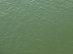 -东疆建设开发纪念公园
