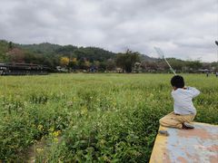 -红山村