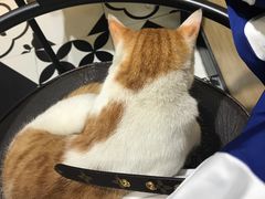 -牛纽塔·牛人堡(群众路店)