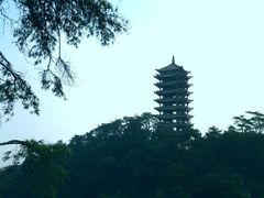 -缙云山景区
