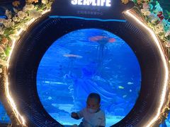 -沈阳海洋探索中心