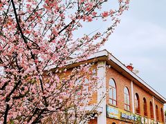 -橘子洲景区