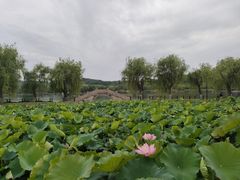 -石湖景区