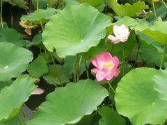 -山东大学(兴隆山校区)