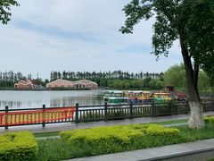 -上海长兴岛郊野公园