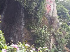 android_upload_pic-厦门悦华酒店