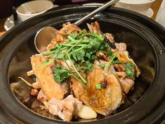 砂锅煎焗鱼头排骨煲-金光鸽王·经典粤菜(珠海万象汇店)