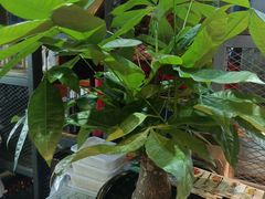 -湘当爱·鲜煮现炒(松岗立业路店)