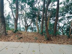 -梧桐山风景名胜区