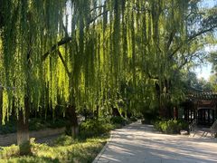 -北京市劳动人民文化宫(太庙)