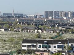 -树山生态村