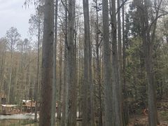 -波尔登森林公园