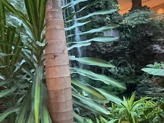 -白天鹅宾馆·流浮阁咖啡厅