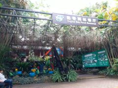 -呀诺达热带雨林