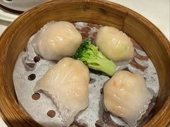 -悦景酒家(罗湖店)