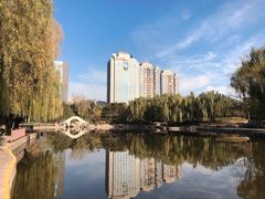 -团结湖公园