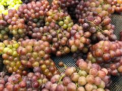 -北国超市(益元店)