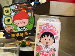 在桃公主酸奶-海底捞火锅(顺城购物中心店)