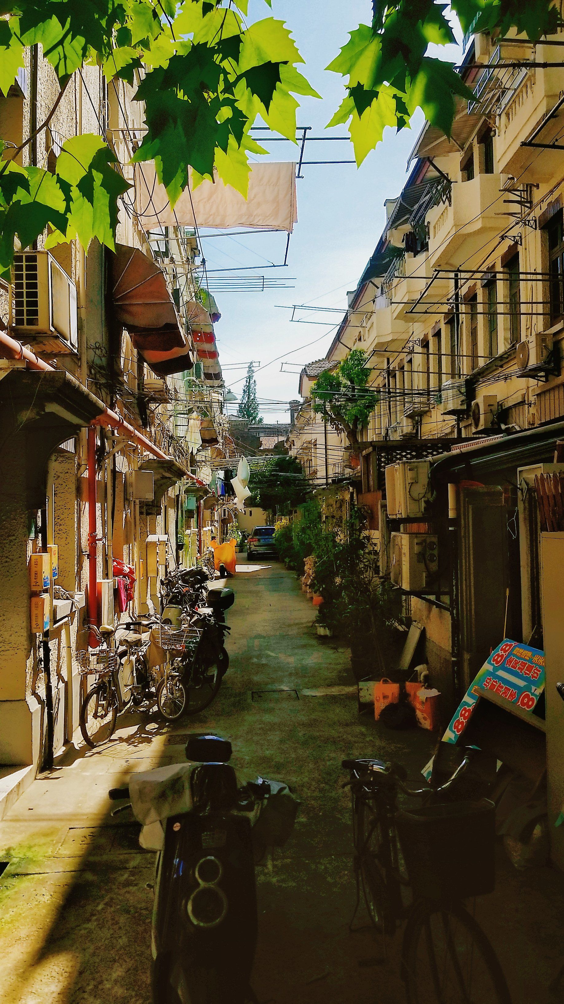 上海盛夏的弄堂