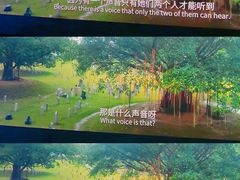 -中影国际影城(小西天CINITY店)