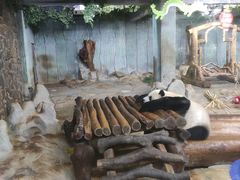 -海南热带野生动植物园