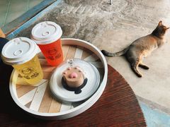 -喵屿·大理花园猫咖