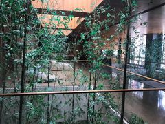 -广州富力君悦大酒店空中花园