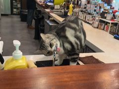 -咖法森林·咖啡  酒吧(天河店)