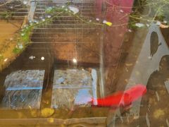 -漪龙台·B26 Rooftop Lounge