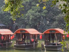 -侨美·唐荔园·40年地道粤菜