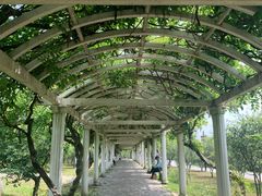 -苏州上方山国家森林公园