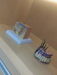 -雍禾植发全国连锁