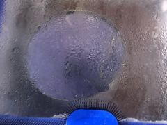 -阿伟海鲜楼·福建菜(延寿店)